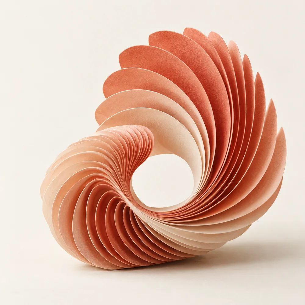 A sculptural coral paper shell with concentric folds